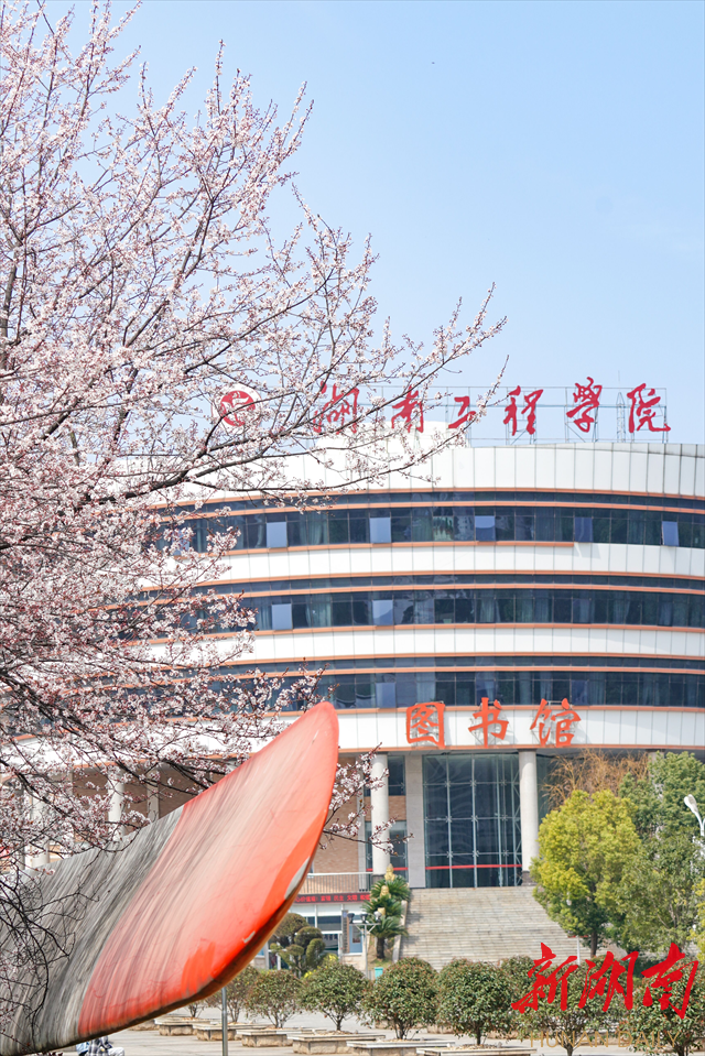 taptap点点体育紫叶李花开惹人醉