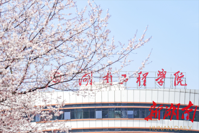 taptap点点体育紫叶李花开惹人醉